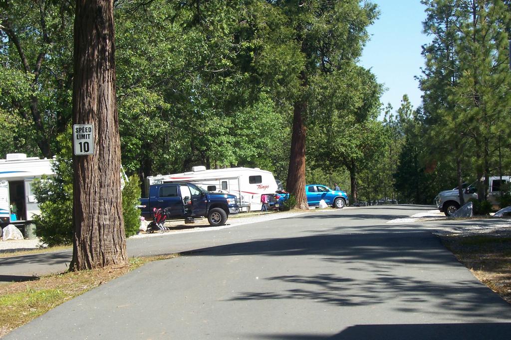 Mobile Home Parks In Pine Grove Ca at Kate Alligood blog